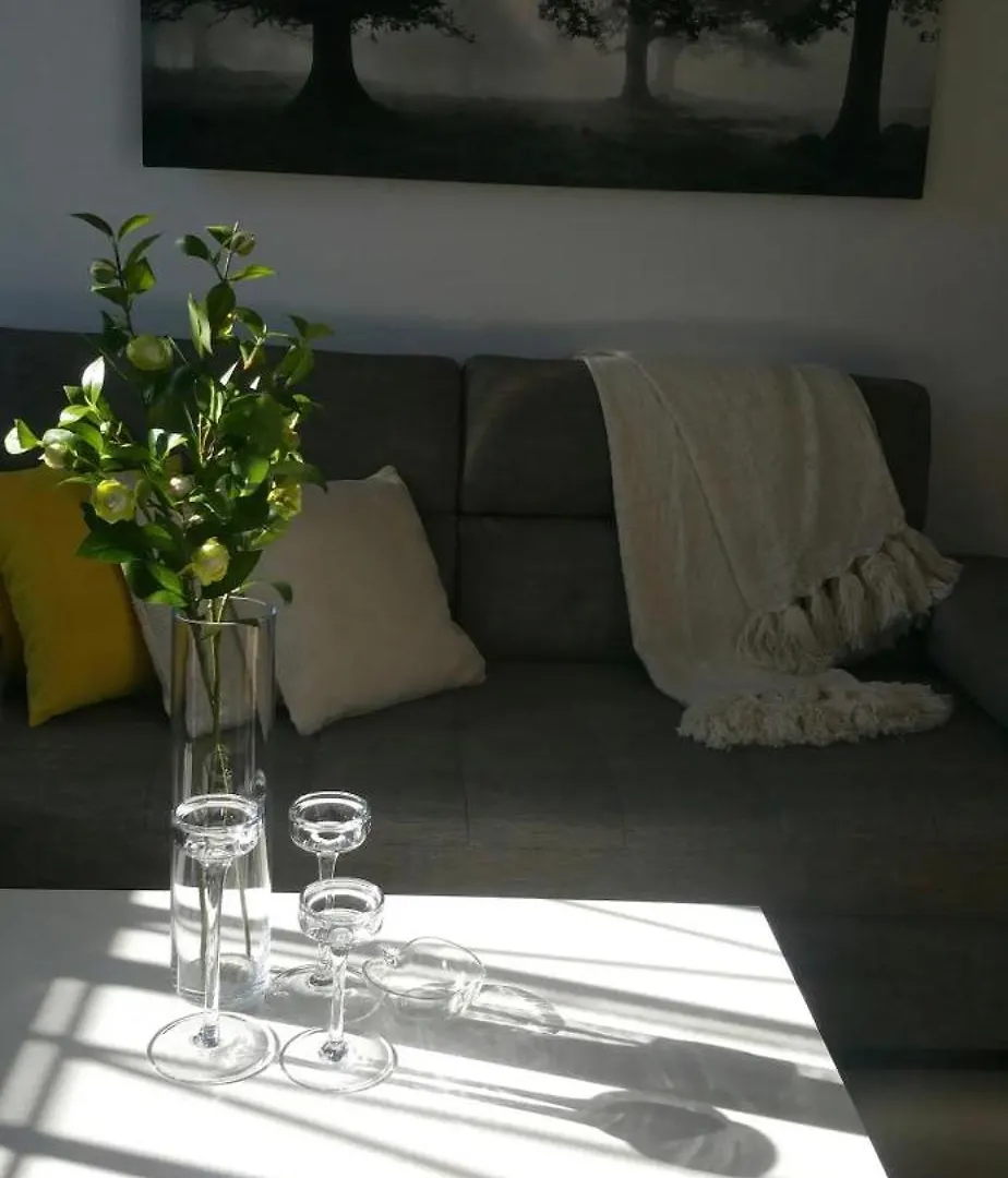 Apartment Liberty Sti Cozy Studio Santiago De Los Caballeros